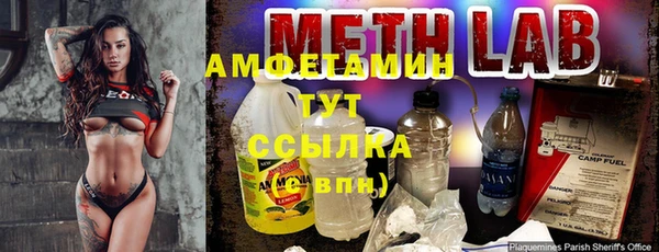 дживик Бородино