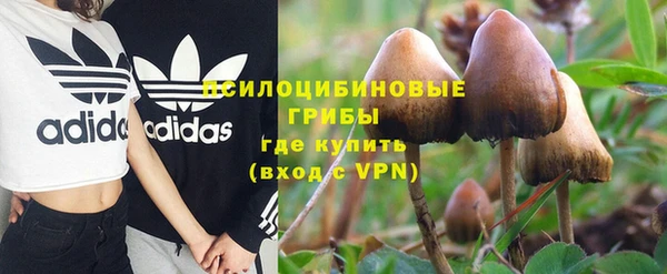 ПСИЛОЦИБИНОВЫЕ ГРИБЫ Бронницы