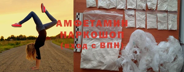 дживик Бородино