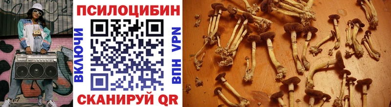 Галлюциногенные грибы мухоморы  блэк спрут ТОР  Среднеуральск 