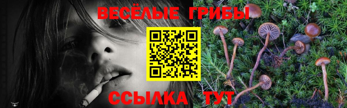 Псилоцибиновые грибы Psilocybine cubensis  наркошоп  Псилоцибиновые грибы GOLDEN TEACHER  Среднеуральск  Вход с VPN 