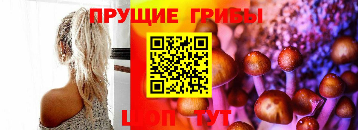 Галлюциногенные грибы Magic Shrooms Среднеуральск